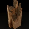 loupe d'orme ormeau galeux 235 x 75 x 29 mm