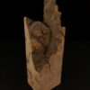 loupe d'orme ormeau galeux 235 x 75 x 29 mm