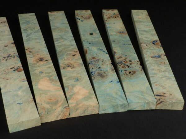 Loup de peuplier stabiliser bleus / vert 255 x 26 x 10 mm lot de 6