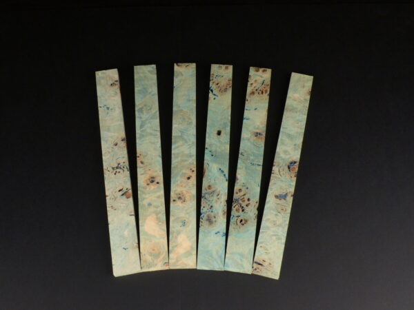 Loup de peuplier stabiliser bleus / vert 255 x 26 x 10 mm lot de 6