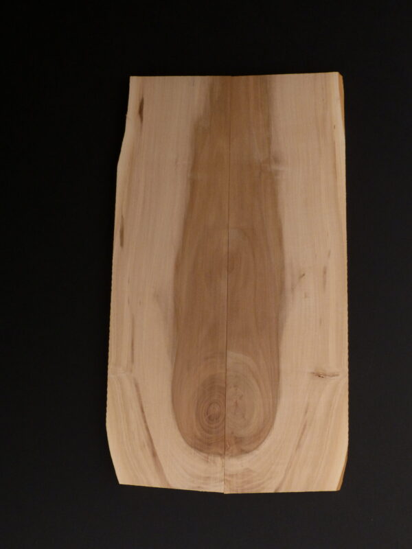 pommier 255 x 130 x 7 mm