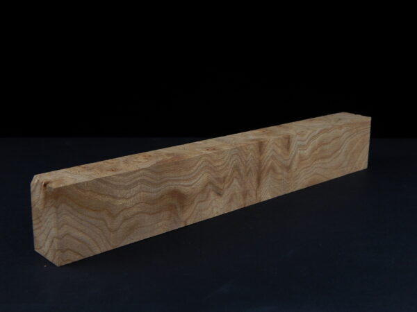 Loupe d’orme ormeau galeux 250 x 39 x 24 mm