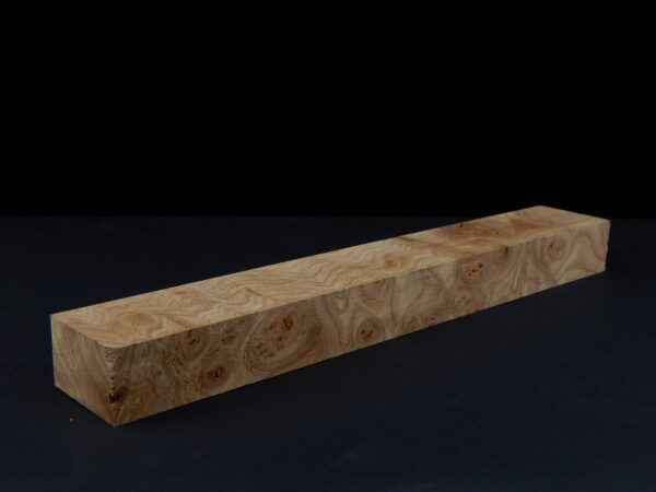 Loupe d’orme ormeau galeux 250 x 39 x 24 mm