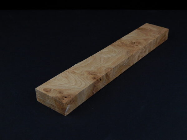 Loupe d’orme ormeau galeux 190 x 32 x 14 mm