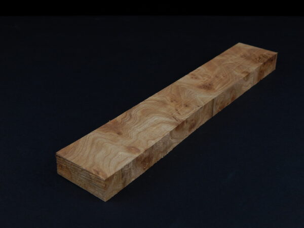 Loupe d’orme ormeau galeux 190 x 32 x 14 mm