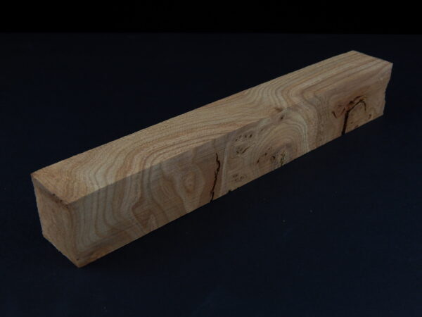 Loupe d’orme ormeau galeux 205 x 33 x 28 mm