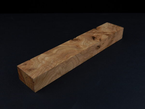 Loupe d’orme ormeau galeux 190 x 36 x 22 mm