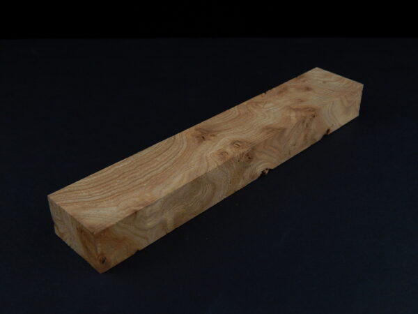 Loupe d’orme ormeau galeux 190 x 36 x 22 mm