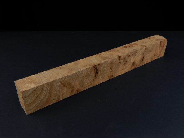Loupe d’orme ormeau galeux 250 x 34 x 24 mm