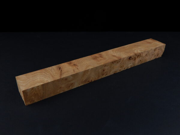 Loupe d’orme ormeau galeux 250 x 34 x 24 mm