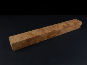 Loupe d’orme ormeau galeux 250 x 34 x 24 mm