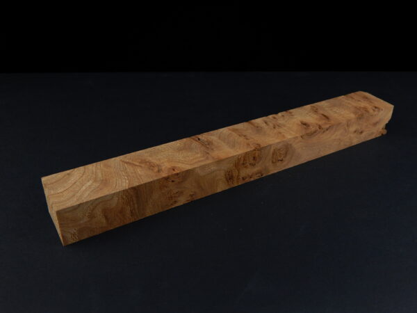 Loupe d’orme ormeau galeux 250 x 34 x 24 mm