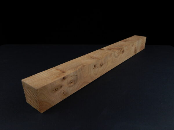 (Loupe) d’orme ormeau galeux 320 x 32 x 32  mm