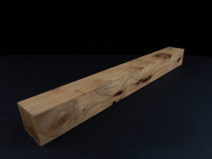 (Loupe) d’orme ormeau galeux 320 x 32 x 32  mm
