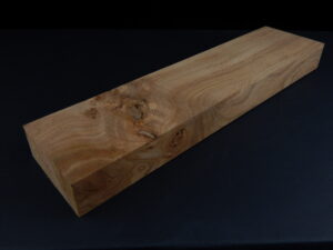 loupe d’orme ormeau galeux 290 x 72 x 28 mm