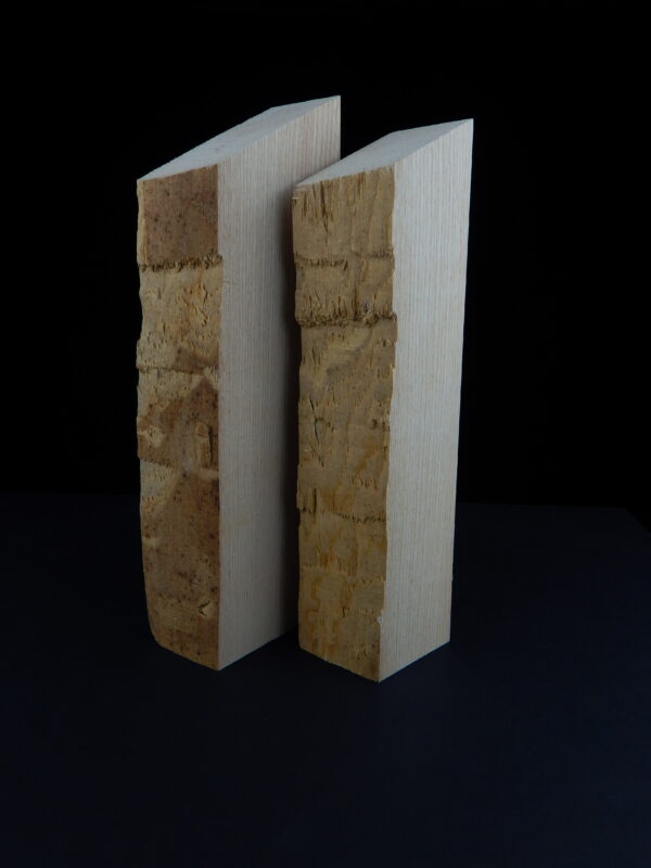 frêne P1 210 x 65 x 45 mm P2 210 x 40 x 45 mm